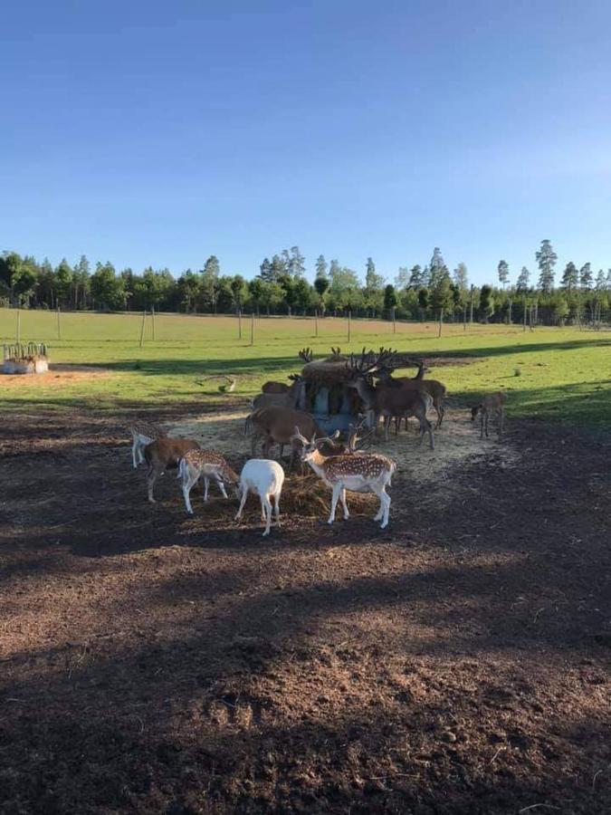 Sjoetorps Saeteris Bed & Breakfast Flygeln Larv Экстерьер фото